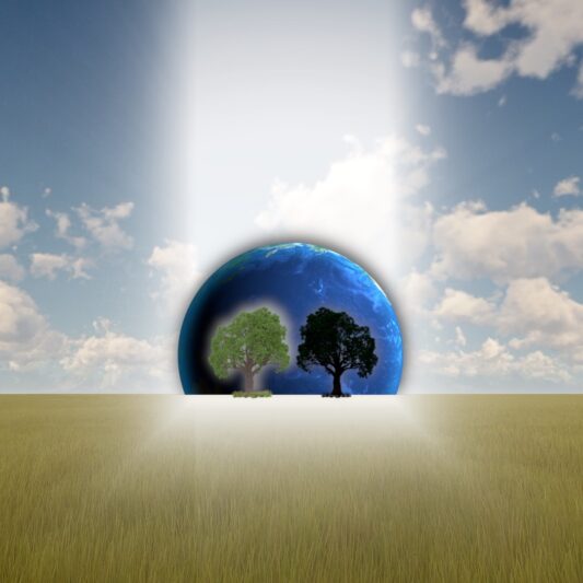 The Tree of Life and the Tree of the Knowledge of Good and Evil