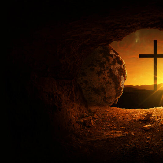 The Man Called Jesus